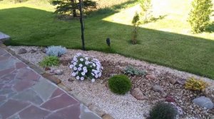 Декоративные композиции из цветов и растений