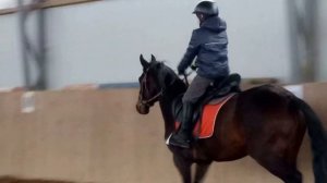 Мудрые боги выдумали ноги