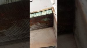 котёл navien. сначала часто выскакивала ошибка 18  10 датчик контроля тяги,  16 и он просто умер!