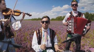 Малай на белом барсе:) cover by народники