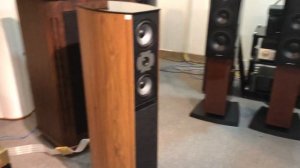 Jamo D590 nghe nhạc vàng