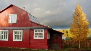 ВАЛЬС БЕРЁЗКА