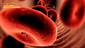 3D матрас Fohow. серии ИНТЕЛЛЕКТУАЛЬНАЯ СИСТЕМА ЗДОРОВОГО СНА