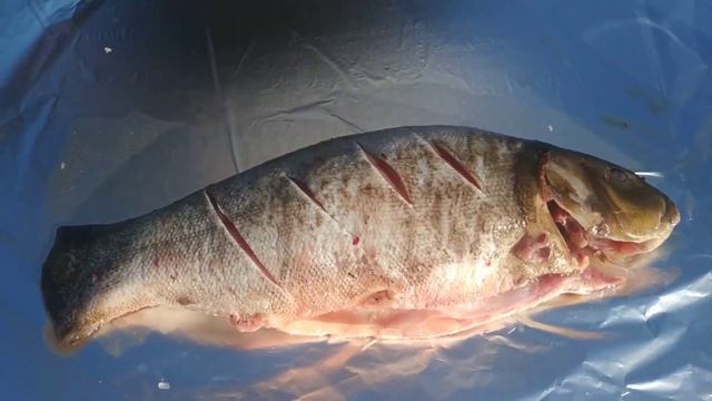 ГОТОВИМ ЛИНЯ. РЫБА НА УГЛЯХ. смотреть онлайн