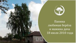 АРХИВ СЕМЬИ. Папина любимая берёза и мамина дача 18 июля 2010 г.