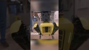 Робо-Пёс Spot из Boston Dynamics с языком ChatGPT