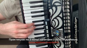 Урок Аккордеона - ХРОМАТИЧЕСКАЯ ГАММА - как играть быстро с нуля на Аккордеоне