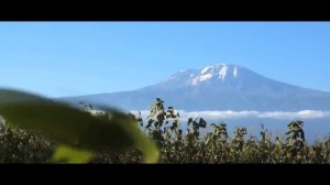 КИЛИМАНДЖАРО – КОРОНА ТАРЗАНИИ // ИНТЕРЕСНЫЕ ФАКТЫ О ГОРЕ КИЛИМАНДЖАРО // Я Короче Узнал