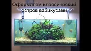 Переоформляем аквариум в стиле остров