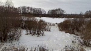 Цна в районе авиагородка. #сасово