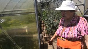 Огород без химии!