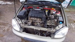 Крысы жрут автомобиль! Ищем грызуна!