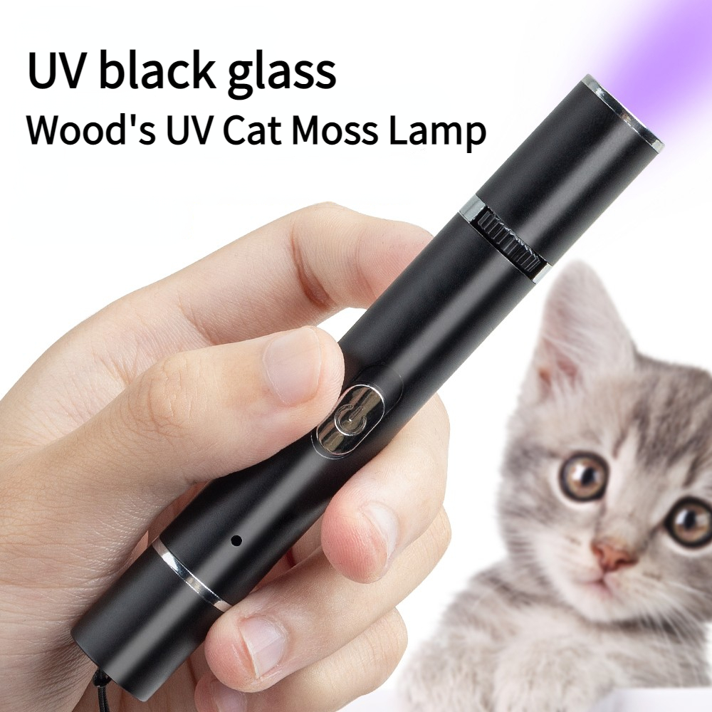 interact laser pattern cat toy lighting USB Rechargeable