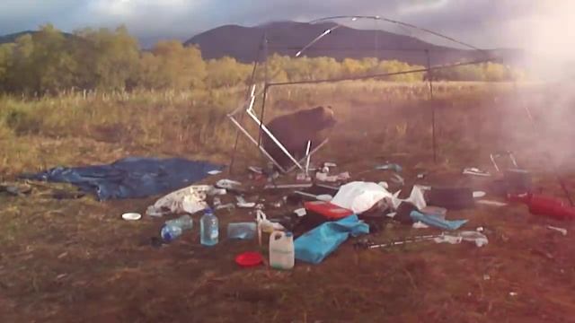 Камчатка и ее обитатели- туристы и медведи 5 смотреть онлайн