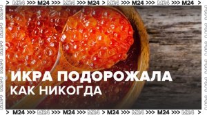 Красная икра подорожала до исторического максимума - Москва 24