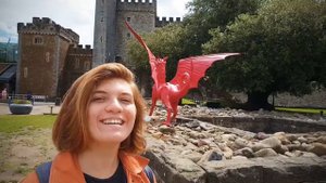 Wales, Cardiff. Уэльс, Карффид