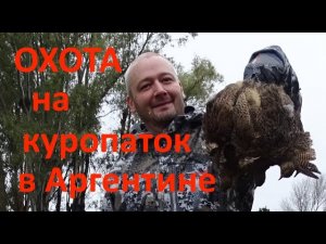 Охота на куропаток в Аргентине самотопом