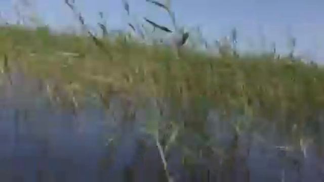 На байдарке 2 смотреть онлайн