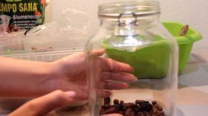 DIY: ФЛОРАРИУМ ДЛЯ НОВИЧКОВ. ЛЕГКО  И ПРОСТО