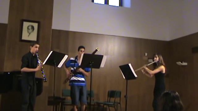 Divertimento para Flauta,Clarinete y Fagot - Violeta Gil смотреть онлайн