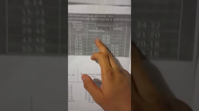 бройлер баландарын асырау.қандай условия жасау керек?не беру керек? смотреть онлайн