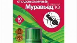 Топ-10 средств избавления от муравьев. Как защитить растения от муравьев.