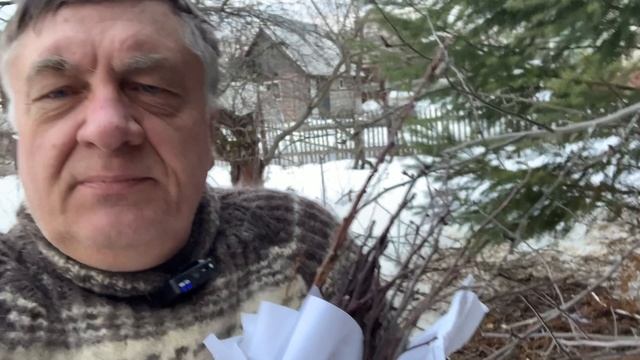 Учимся делать прививки в саду!
Урок 1