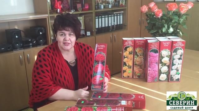 Английские розы смотреть онлайн