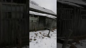 Как живёт пожилое население в изчезающих поселениях.