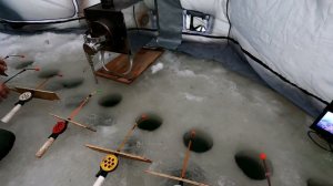 На новые места за сигом и хариусом / Зимняя рыбалка в новой палатке / Рыбалка с домашним комфортом