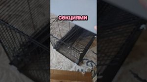 Не удачная клетка