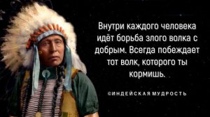 33 индейские пословицы и поговорки, в которых весь их кодекс морали и смысл жизни!