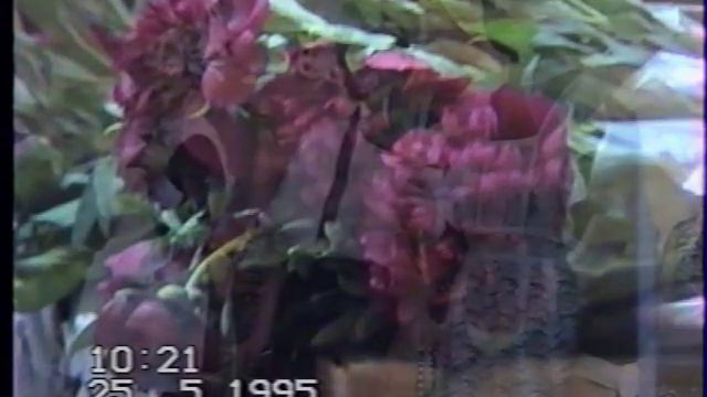 Последний звонок 1995 г. Моршанск СОШ №3 ч.3 смотреть онлайн