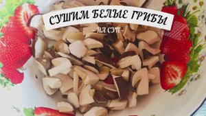 Сушим белые грибы