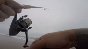 Clamming | Fishing At Low Tide