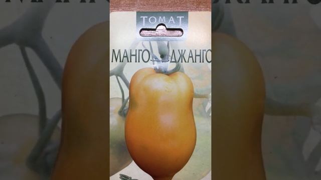 Томат Манго Джанго с неповторимым вкусом #shorts