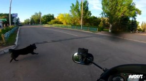 Катаем девчонок на мотоциклах