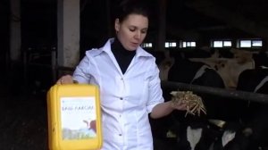 Опыт применения кормовых добавок и биопрепаратов для животных производства НВП БашИнком