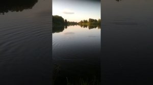 кастинговая сеть. #ловля #рыбы #кастинговой #сетью. #способ#заброса#озеро урваново.красивые места.