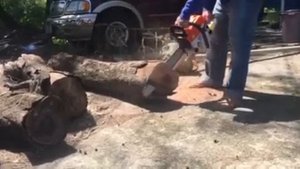 Cutting log using chainsaw. (Wellerman WL5200)