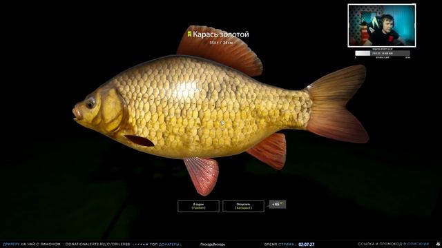 Русская Рыбалка 4 — Маховая квалификация. Выполняю первый и второй этап. смотреть онлайн