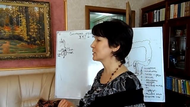 Бионет. Сало Анатолий и Сало Надежда о пищеварительной системе SAM 0401 смотреть онлайн