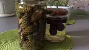 Сосновые шишки- профилактика и лечения инсульта