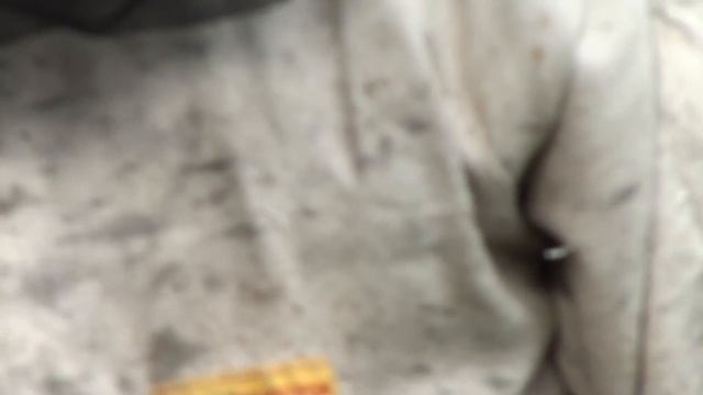 Австралийская поилка для пчел на щебне с белорусским мхом в кормушке "Василек" смотреть онлайн