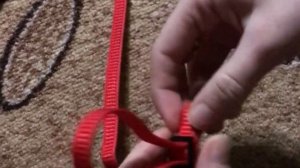 Шлейка для морской свинки TRIXIE