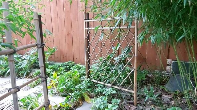 Японский чайный сад (Роджи) (Ростов-на-Дону) смотреть онлайн