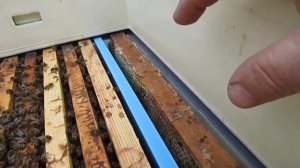 улей биненхаус ( bienenhaus ) - методика 8 рамочного улья Кука , в  улье на 10 рамок