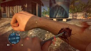 Far Cry 3 Сжигание плантаций