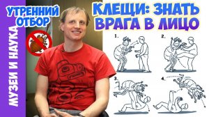 Знакомьтесь - клещ! Тимофей Левченко