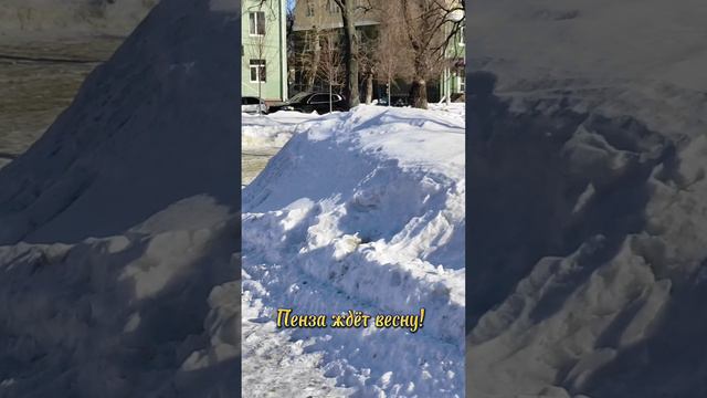 Пенза ждёт настоящую весну!